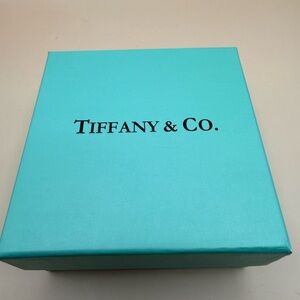Tiffany & Co. Travel Jewelry Case in a Tiffany gift box